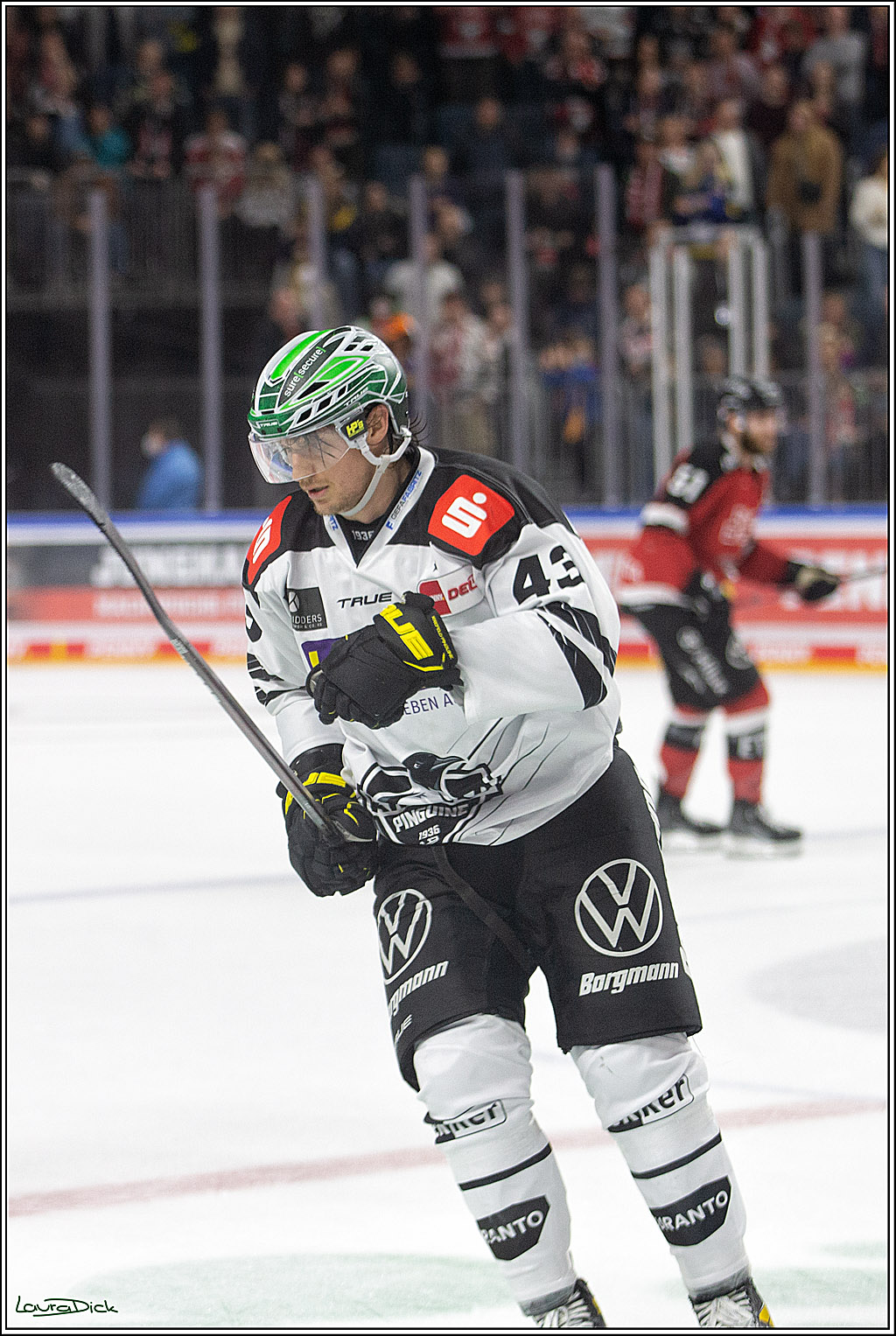 PENNY DEL;  Koelner Haie - Krefeld Pinguins; Koeln, 31.10.2021